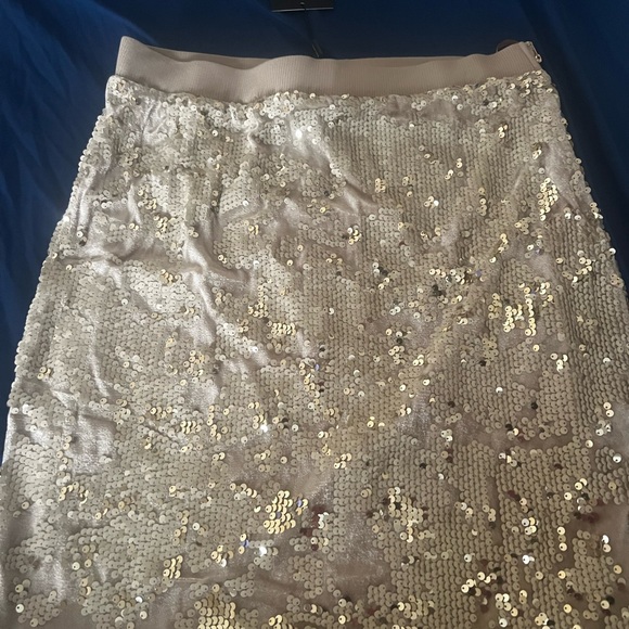 JLUXLABEL Gold Sequin Velvet Skirt Set - Picture 4 of 16